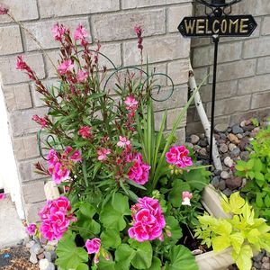 Meet your Posher, Bobbi